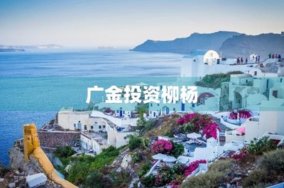 廣金投資柳楊——廣金資本企業(yè)簡介